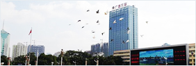 开云app官网