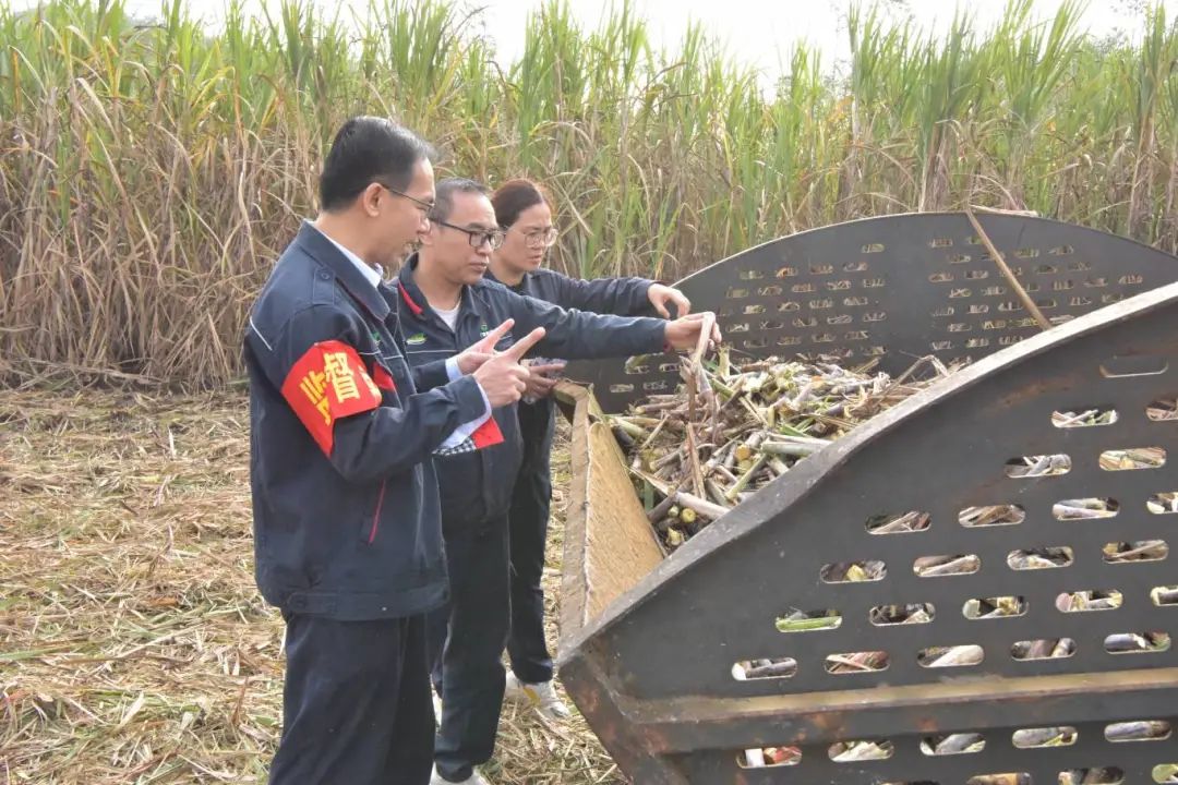 微信图片_20250127105624.jpg